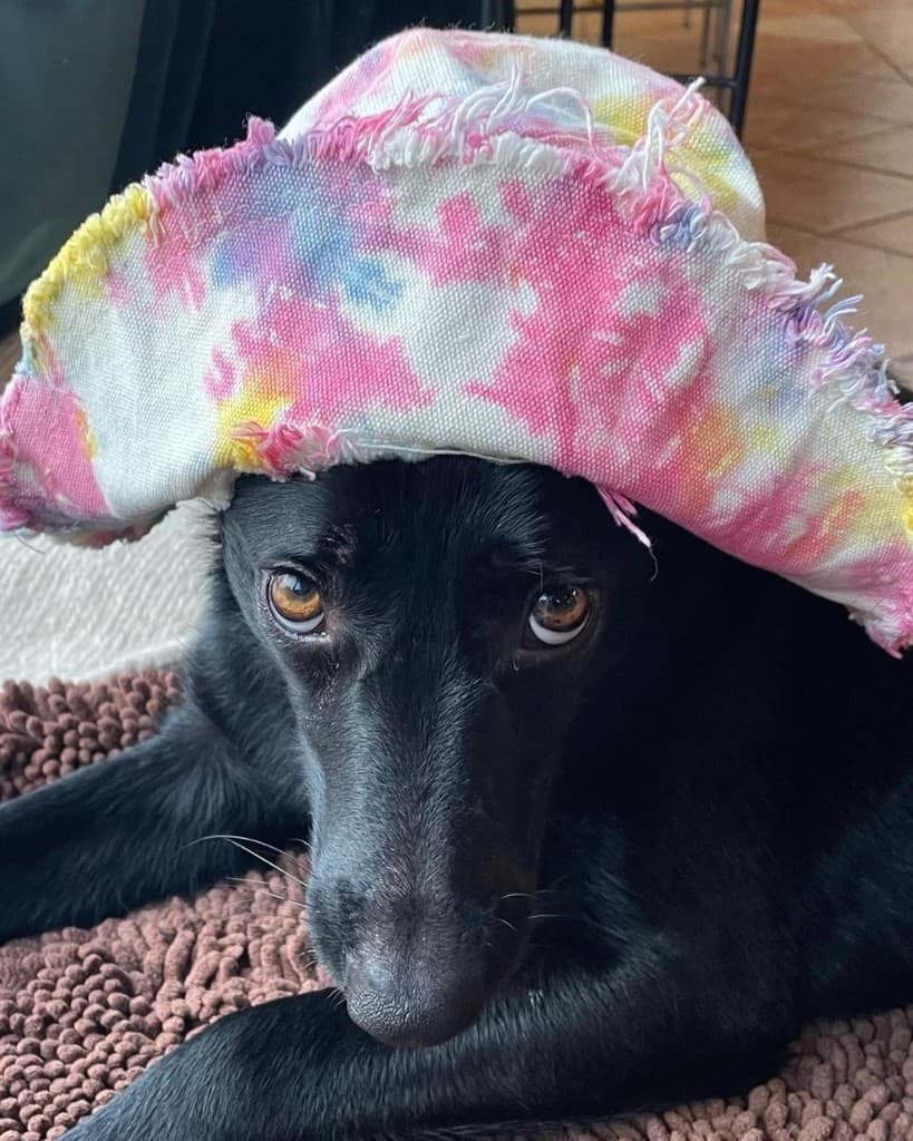 Blackie